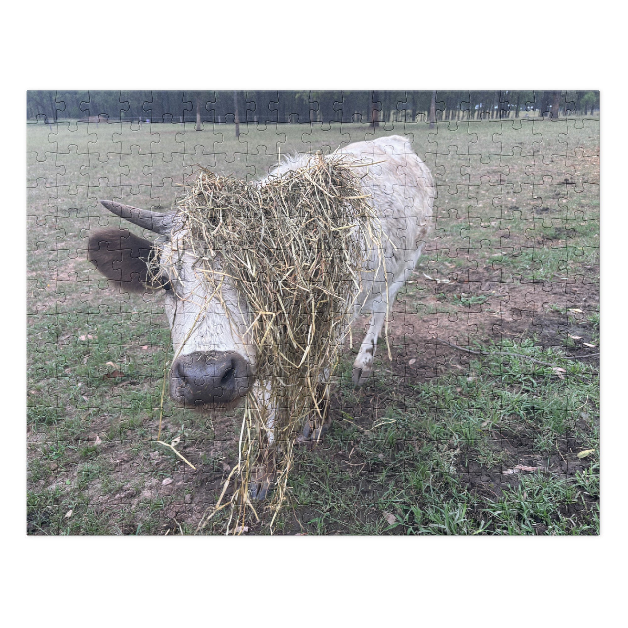 TheVillageHighlandCows Gracie Puzzles - OEMUniverse