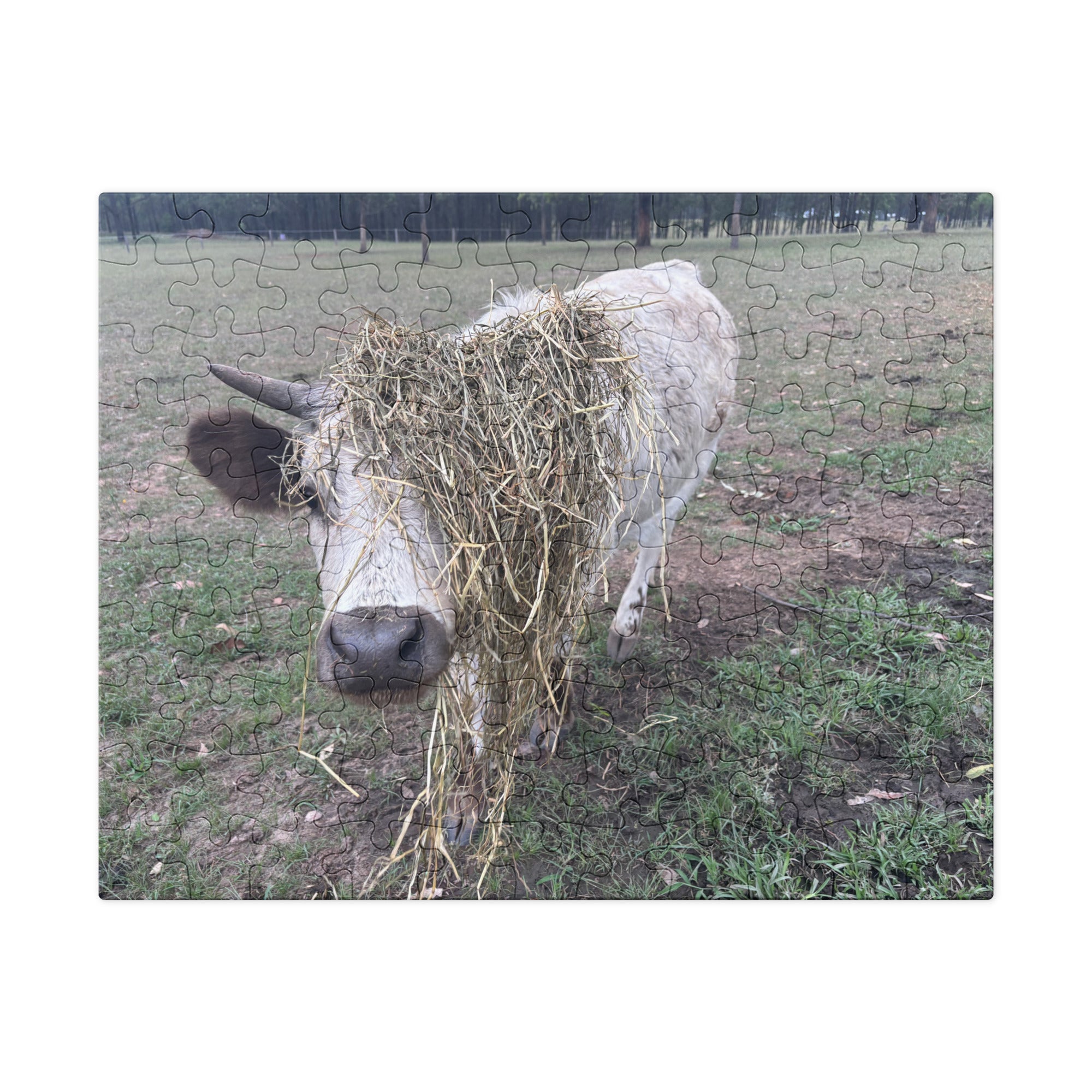 TheVillageHighlandCows Gracie Puzzles - OEMUniverse